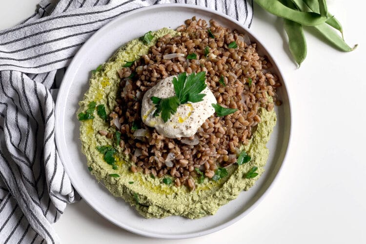 Farro e lenticchie su crema di fagiolini corallo