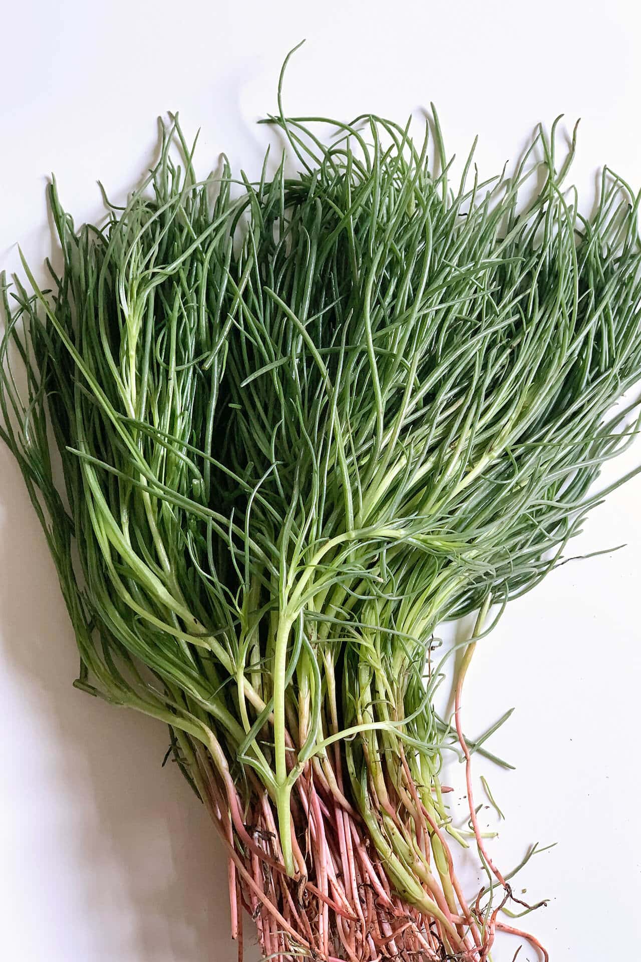 Agretti