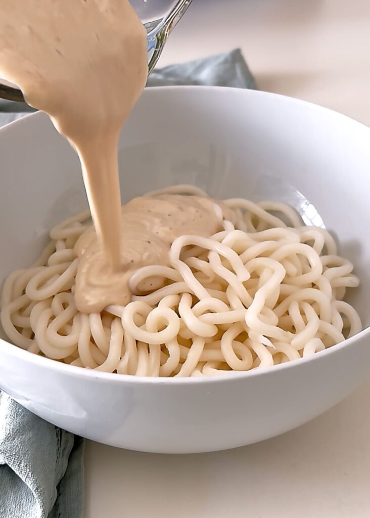 Tofu e udon