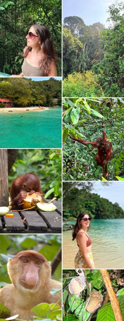 Borneo